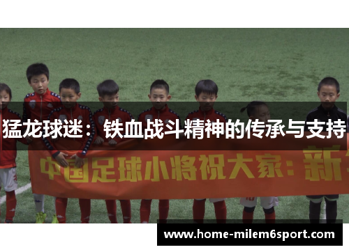 猛龙球迷：铁血战斗精神的传承与支持